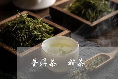 普洱茶 新茶/2023042887340